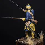 CAROLINER 4